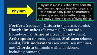 Phylum is a classification level beneath
kingdom and groups together organisms
with similar body plans or structures,
allowing scientists to further categorize
and study different types of living things.
Phylum
Porifera (sponges), Cnidaria (jellyfish, corals),
Platyhelminthes (flatworms), Nematoda
(roundworms), Annelida (segmented worms),
Arthropoda (insects, spiders), Mollusca (clams,
snails), Echinodermata (sea stars, sea urchins),
and Chordata (animals with a backbone,
including humans)
 