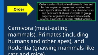 Order is a classification level beneath class and
further organizes organisms based on even
more specific similarities in their characteristics
and behaviors. It allows scientists to group
together organisms that are more closely
related. It consists of several related families.
Order
Carnivora (meat-eating
mammals), Primates (including
humans and other apes), and
Rodentia (gnawing mammals like
 