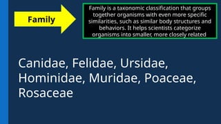 Family is a taxonomic classification that groups
together organisms with even more specific
similarities, such as similar body structures and
behaviors. It helps scientists categorize
organisms into smaller, more closely related
Family
Canidae, Felidae, Ursidae,
Hominidae, Muridae, Poaceae,
Rosaceae
 