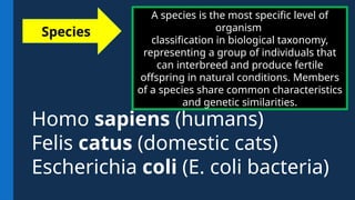 A species is the most specific level of
organism
classification in biological taxonomy,
representing a group of individuals that
can interbreed and produce fertile
offspring in natural conditions. Members
of a species share common characteristics
and genetic similarities.
Species
Homo sapiens (humans)
Felis catus (domestic cats)
Escherichia coli (E. coli bacteria)
 