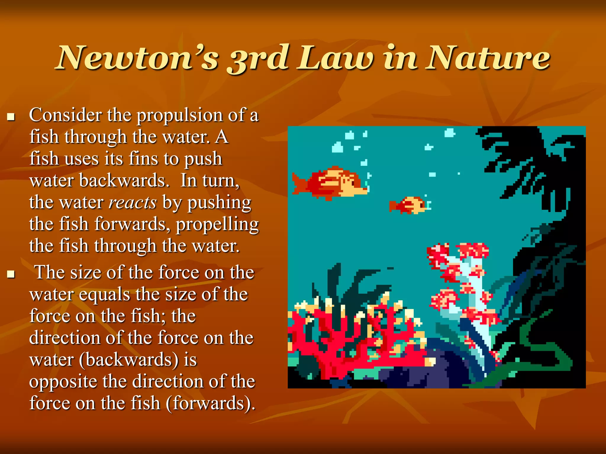 Newton’s 3rd Law in Nature
 Consider the propulsion of a
fish through the water. A
fish uses its fins to push
water backwards. In turn,
the water reacts by pushing
the fish forwards, propelling
the fish through the water.
 The size of the force on the
water equals the size of the
force on the fish; the
direction of the force on the
water (backwards) is
opposite the direction of the
force on the fish (forwards).
 