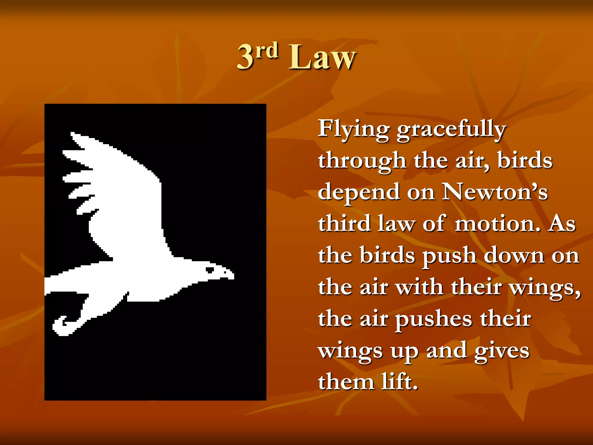 3rd Law
Flying gracefully
through the air, birds
depend on Newton’s
third law of motion. As
the birds push down on
the air with their wings,
the air pushes their
wings up and gives
them lift.
 
