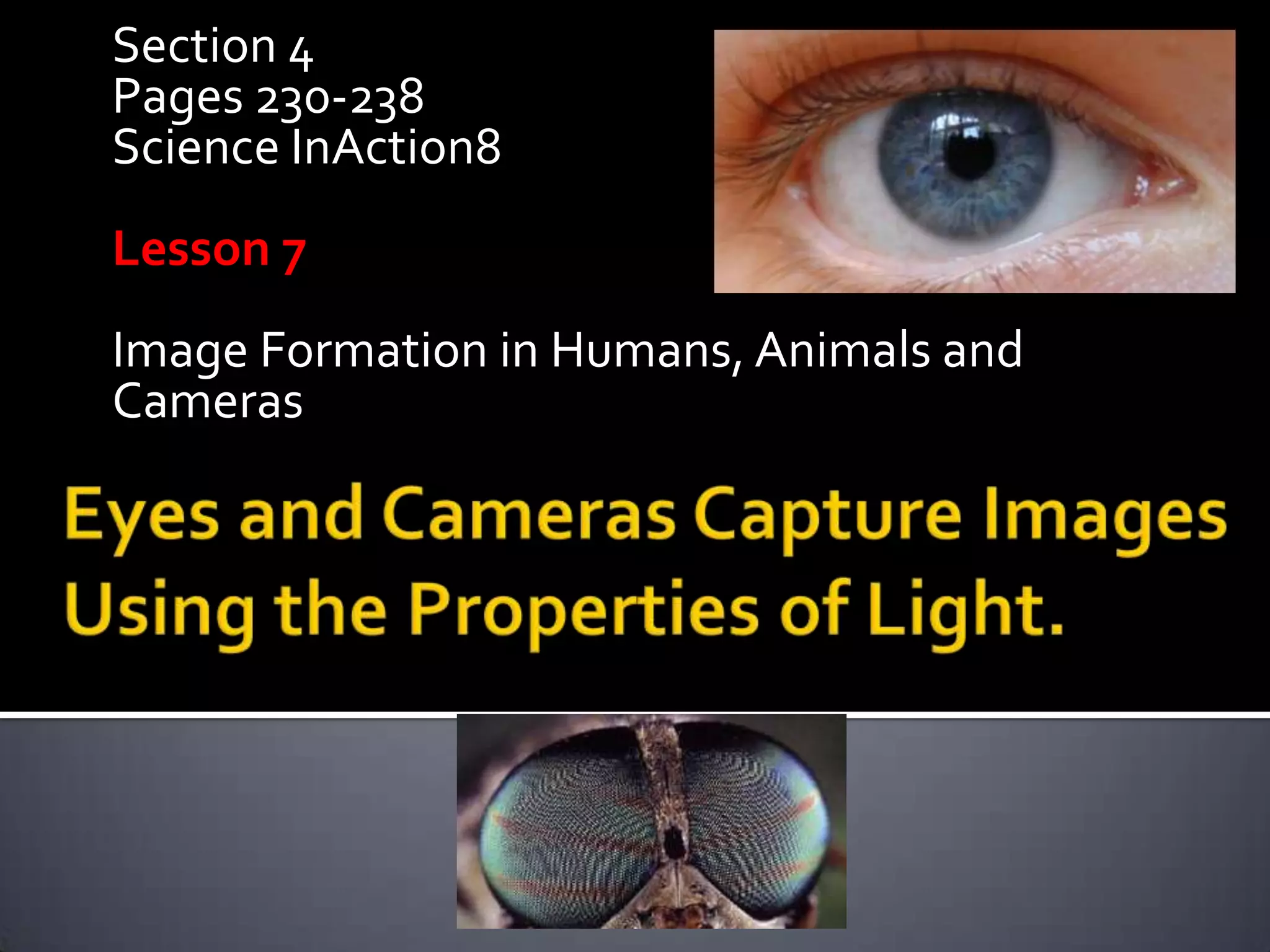Science8 Unit C Lightand Optics Section4 Lesson7 Image Formationin ...