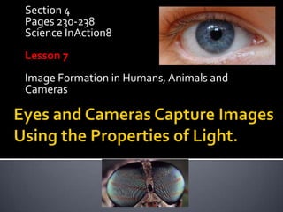 Section 4
Pages 230-238
Science InAction8
Lesson 7
Image Formation in Humans, Animals and
Cameras
 