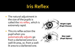 Science8 Unit C Lightand Optics Section4 Lesson7 Image Formationin ...