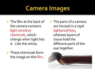 Science8 Unit C Lightand Optics Section4 Lesson7 Image Formationin ...
