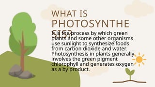 PHOTOSYNTHE
SIS?
WHAT IS
It is the process by which green
plants and some other organisms
use sunlight to synthesize foods
from carbon dioxide and water.
Photosynthesis in plants generally
involves the green pigment
chlorophyll and generates oxygen
as a by product.
 