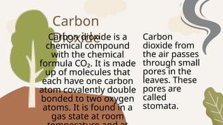 Carbon
dioxide from
the air passes
through small
pores in the
leaves. These
pores are
called
stomata.
Carbon
Dioxide
Carbon dioxide is a
chemical compound
with the chemical
formula CO₂. It is made
up of molecules that
each have one carbon
atom covalently double
bonded to two oxygen
atoms. It is found in a
gas state at room
 