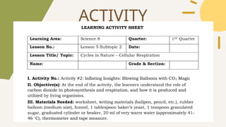 ACTIVITY
 