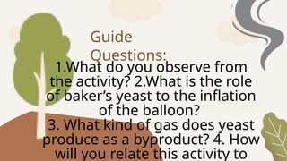 Guide
Questions:
1.What do you observe from
the activity? 2.What is the role
of baker’s yeast to the inflation
of the balloon?
3. What kind of gas does yeast
produce as a byproduct? 4. How
will you relate this activity to
 