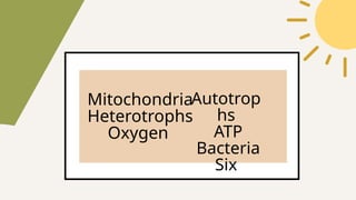 Autotrop
hs
ATP
Bacteria
Six
Mitochondria
Heterotrophs
Oxygen
 
