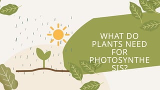 WHAT DO
PLANTS NEED
FOR
PHOTOSYNTHE
SIS?
 