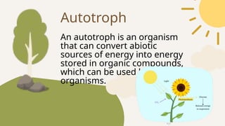 An autotroph is an organism
that can convert abiotic
sources of energy into energy
stored in organic compounds,
which can be used by other
organisms.
Autotroph
 