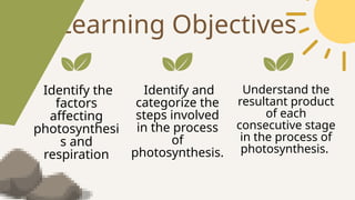 Learning Objectives
Understand the
resultant product
of each
consecutive stage
in the process of
photosynthesis.
Identify and
categorize the
steps involved
in the process
of
photosynthesis.
Identify the
factors
affecting
photosynthesi
s and
respiration
 