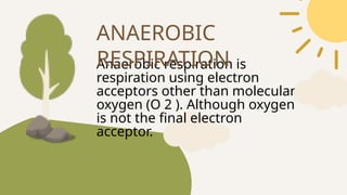 Anaerobic respiration is
respiration using electron
acceptors other than molecular
oxygen (O 2 ). Although oxygen
is not the final electron
acceptor.
ANAEROBIC
RESPIRATION
 