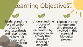 Learning Objectives
Understand the
role of carbon
dioxide in
photosynthesis
and respiration,
and how it is
produced and
utilized by living
organisms.
Understand the
process of
cellular
respiration by
engaging in an
activity that
involves
labeling a
diagram.
Explain the key
components
and processes
involved in this
essential
biological
process.
 