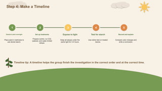 Step 4: Make a Timeline
1
Destarch plant overnight
Place plant in darkness to
use stored starch.
2
Set up treatments
Prepare control, no CO2,
watered, and water-limited
setups.
3
Expose to light
Keep all setups under the
same light for 3-4 hours.
4
Test for starch
Use iodine test on treated
leaves.
5
Record and explain
Compare color changes and
write a conclusion.
Timeline tip: A timeline helps the group finish the investigation in the correct order and at the correct time.
 