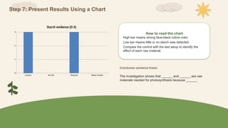 Step 7: Present Results Using a Chart
Control No CO2 Watered Water-limited
0
1
2
3
Starch evidence (0-3)
How to read the chart
High bar means strong blue-black iodine color.
Low bar means little or no starch was detected.
Compare the control with the test setup to identify the
effect of each raw material.
Conclusion sentence frame:
The investigation shows that ______ and ______ are raw
materials needed for photosynthesis because ______.
 