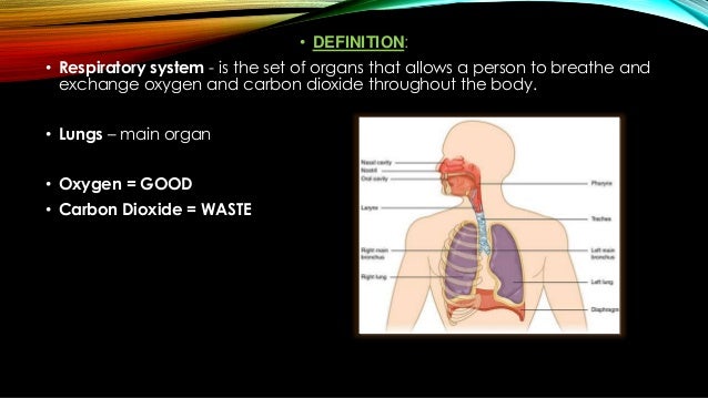 Science 9 respiratory system epic ppt by aj dawat