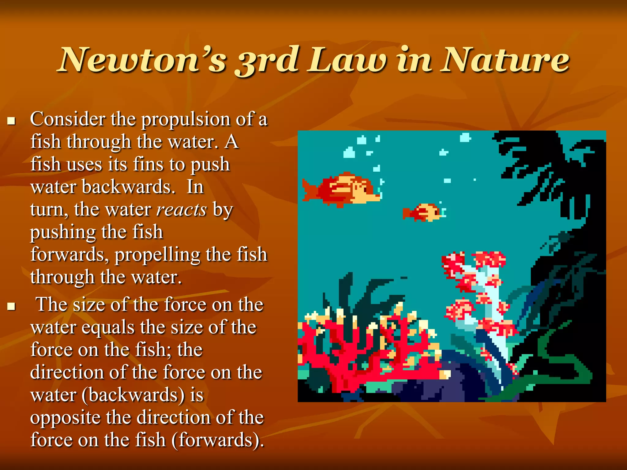 Newton’s 3rd Law in Nature
 Consider the propulsion of a
fish through the water. A
fish uses its fins to push
water backwards. In
turn, the water reacts by
pushing the fish
forwards, propelling the fish
through the water.
 The size of the force on the
water equals the size of the
force on the fish; the
direction of the force on the
water (backwards) is
opposite the direction of the
force on the fish (forwards).
 