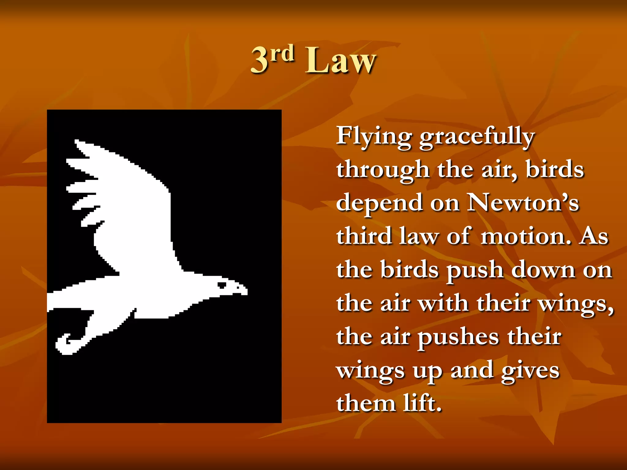 3rd Law
Flying gracefully
through the air, birds
depend on Newton’s
third law of motion. As
the birds push down on
the air with their wings,
the air pushes their
wings up and gives
them lift.
 