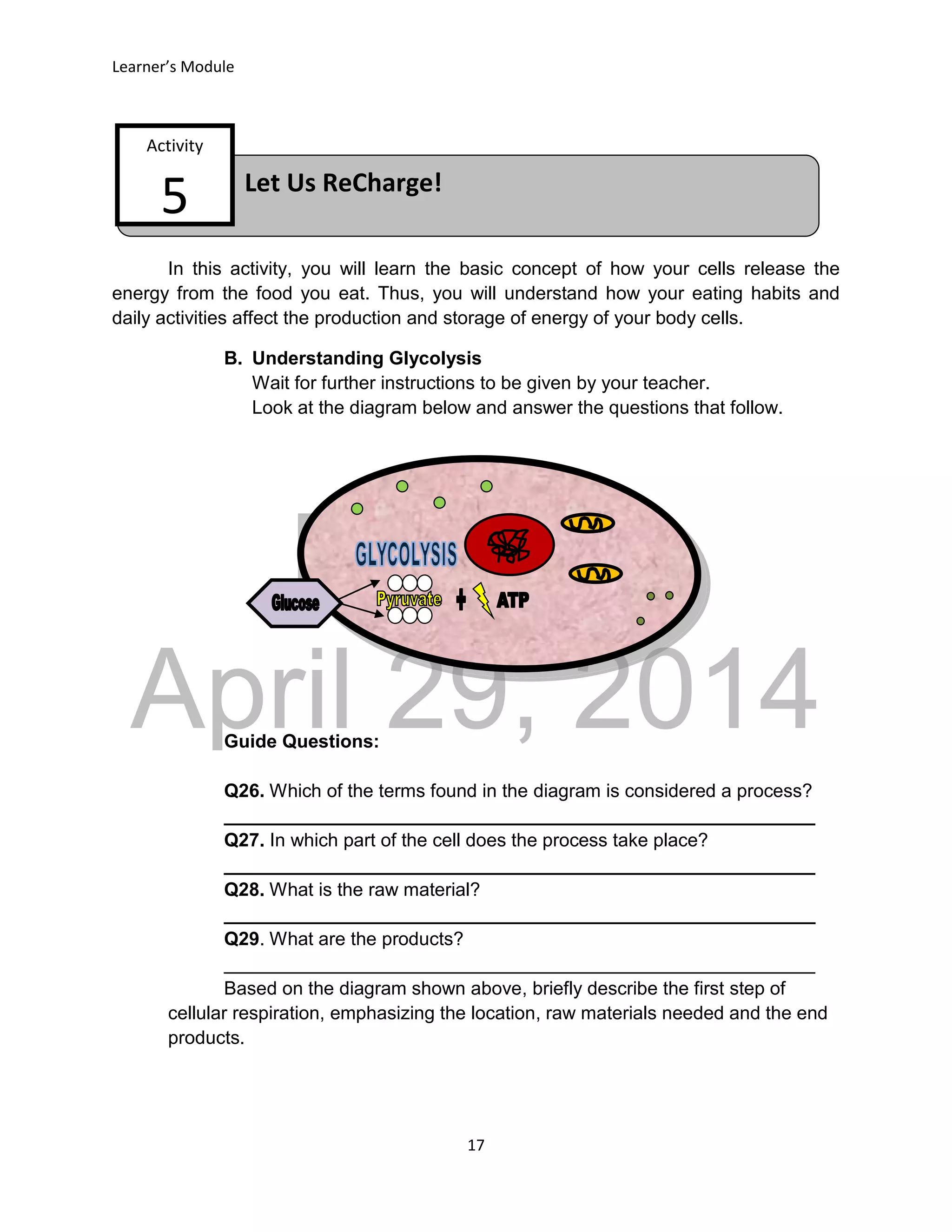 DRAFT
April 29, 2014
Learner’s Module
17
Let Us ReCharge!
Activity
5
In this activity, you will learn the basic concept of how your cells release the
energy from the food you eat. Thus, you will understand how your eating habits and
daily activities affect the production and storage of energy of your body cells.
B. Understanding Glycolysis
Wait for further instructions to be given by your teacher.
Look at the diagram below and answer the questions that follow.
Guide Questions:
Q26. Which of the terms found in the diagram is considered a process?
_________________________________________________________
Q27. In which part of the cell does the process take place?
_________________________________________________________
Q28. What is the raw material?
_________________________________________________________
Q29. What are the products?
_________________________________________________________
Based on the diagram shown above, briefly describe the first step of
cellular respiration, emphasizing the location, raw materials needed and the end
products.
 