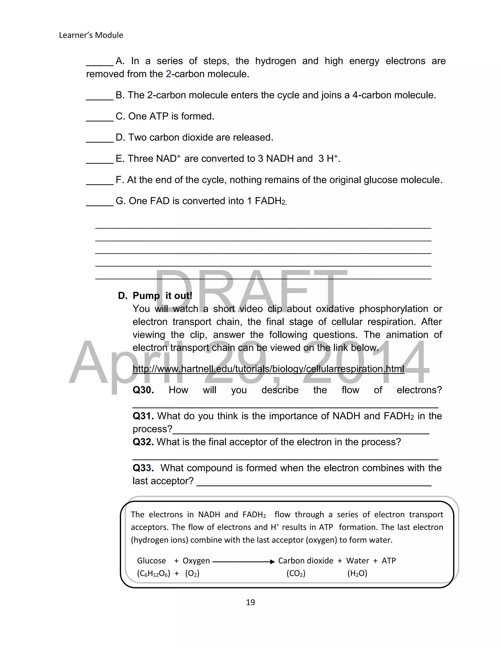 DRAFT
April 29, 2014
Learner’s Module
19
D. Pump it out!
You will watch a short video clip about oxidative phosphorylation or
electron transport chain, the final stage of cellular respiration. After
viewing the clip, answer the following questions. The animation of
electron transport chain can be viewed on the link below.
http://www.hartnell.edu/tutorials/biology/cellularrespiration.html
Q30. How will you describe the flow of electrons?
________________________________________________________
Q31. What do you think is the importance of NADH and FADH2 in the
process?_______________________________________________
Q32. What is the final acceptor of the electron in the process?
________________________________________________________
Q33. What compound is formed when the electron combines with the
last acceptor? ___________________________________________
_____ A. In a series of steps, the hydrogen and high energy electrons are
removed from the 2-carbon molecule.
_____ B. The 2-carbon molecule enters the cycle and joins a 4-carbon molecule.
_____ C. One ATP is formed.
_____ D. Two carbon dioxide are released.
_____ E. Three NAD+ are converted to 3 NADH and 3 H+.
_____ F. At the end of the cycle, nothing remains of the original glucose molecule.
_____ G. One FAD is converted into 1 FADH2.
___________________________________________________________________________
___________________________________________________________________________
___________________________________________________________________________
___________________________________________________________________________
___________________________________________________________________________
The electrons in NADH and FADH2 flow through a series of electron transport
acceptors. The flow of electrons and H+
results in ATP formation. The last electron
(hydrogen ions) combine with the last acceptor (oxygen) to form water.
Glucose + Oxygen Carbon dioxide + Water + ATP
(C6H12O6) + (O2) (CO2) (H2O)
 
