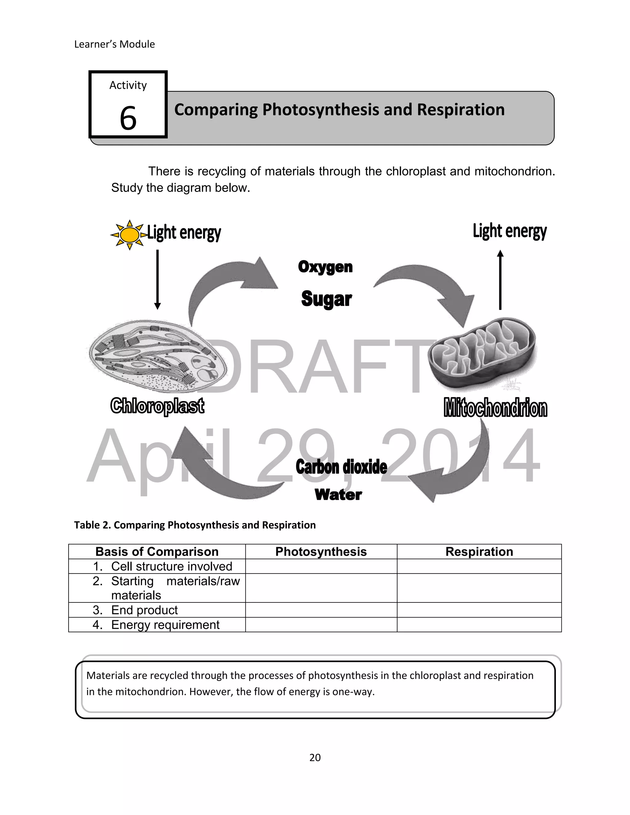 DRAFT
April 29, 2014
Learner’s Module
20
Comparing Photosynthesis and Respiration
Activity
6
There is recycling of materials through the chloroplast and mitochondrion.
Study the diagram below.
Table 2. Comparing Photosynthesis and Respiration
Basis of Comparison Photosynthesis Respiration
1. Cell structure involved
2. Starting materials/raw
materials
3. End product
4. Energy requirement
Materials are recycled through the processes of photosynthesis in the chloroplast and respiration
in the mitochondrion. However, the flow of energy is one-way.
 