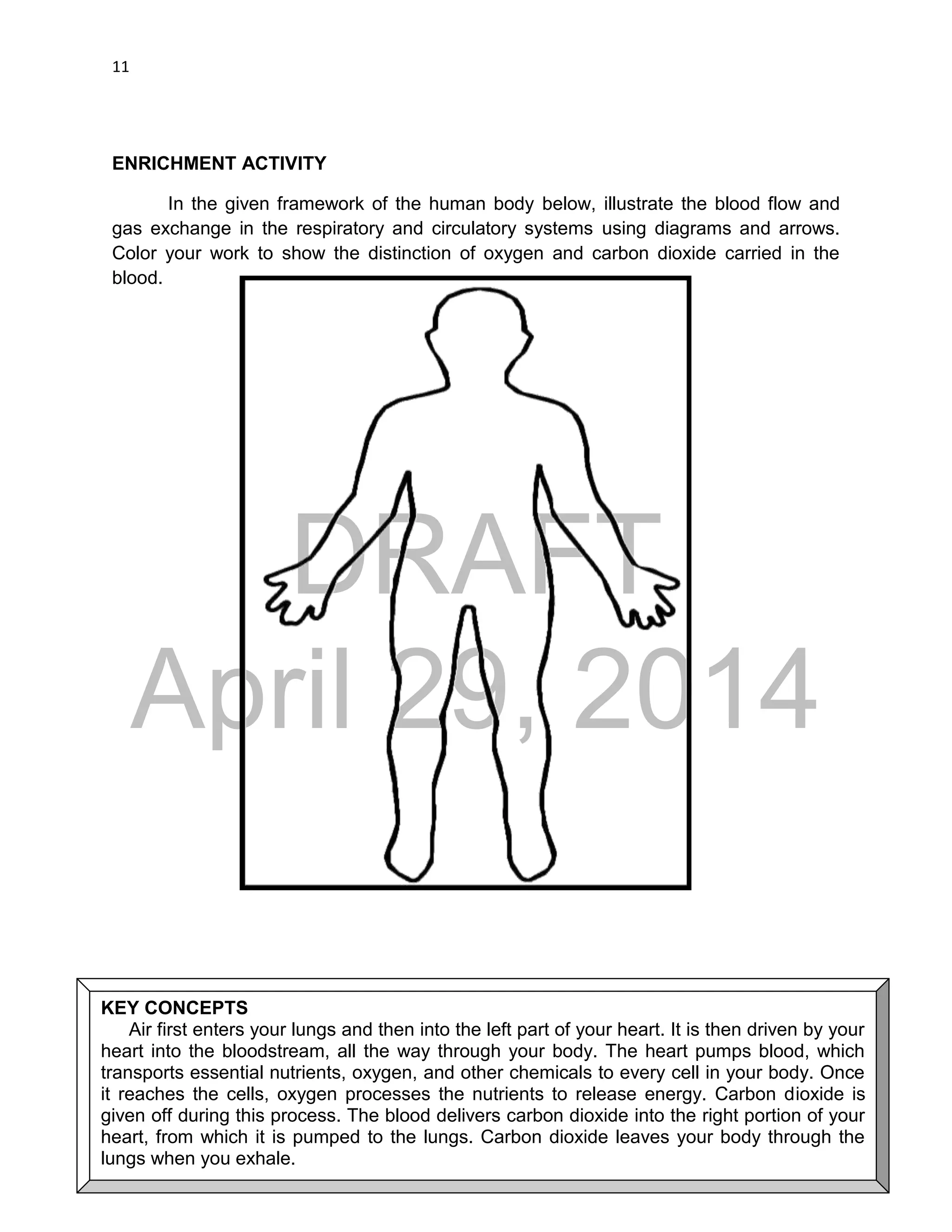 DRAFT
April 29, 2014
11
ENRICHMENT ACTIVITY
In the given framework of the human body below, illustrate the blood flow and
gas exchange in the respiratory and circulatory systems using diagrams and arrows.
Color your work to show the distinction of oxygen and carbon dioxide carried in the
blood.
KEY CONCEPTS
Air first enters your lungs and then into the left part of your heart. It is then driven by your
heart into the bloodstream, all the way through your body. The heart pumps blood, which
transports essential nutrients, oxygen, and other chemicals to every cell in your body. Once
it reaches the cells, oxygen processes the nutrients to release energy. Carbon dioxide is
given off during this process. The blood delivers carbon dioxide into the right portion of your
heart, from which it is pumped to the lungs. Carbon dioxide leaves your body through the
lungs when you exhale.
 