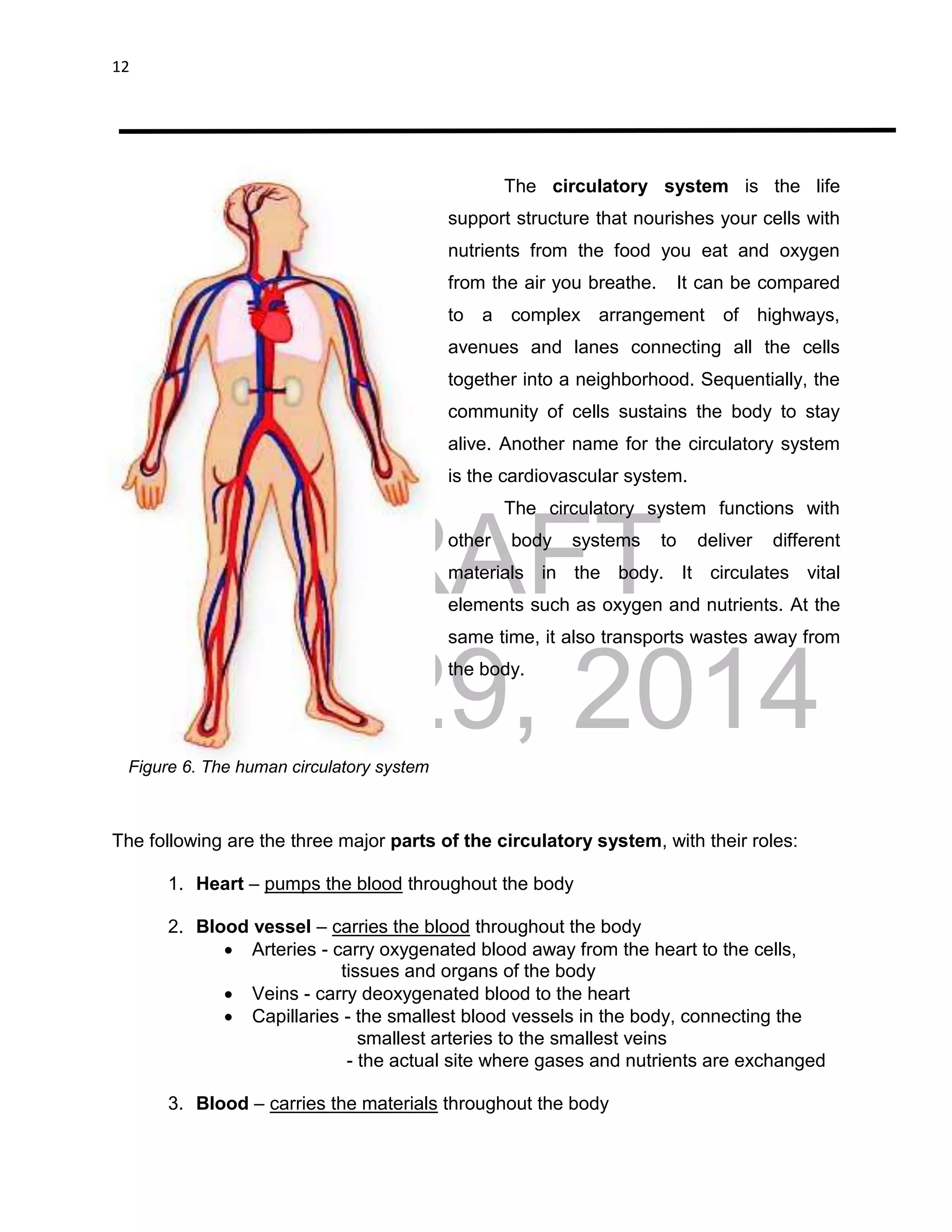 DRAFT
April 29, 2014
12
The circulatory system is the life
support structure that nourishes your cells with
nutrients from the food you eat and oxygen
from the air you breathe. It can be compared
to a complex arrangement of highways,
avenues and lanes connecting all the cells
together into a neighborhood. Sequentially, the
community of cells sustains the body to stay
alive. Another name for the circulatory system
is the cardiovascular system.
The circulatory system functions with
other body systems to deliver different
materials in the body. It circulates vital
elements such as oxygen and nutrients. At the
same time, it also transports wastes away from
the body.
The following are the three major parts of the circulatory system, with their roles:
1. Heart – pumps the blood throughout the body
2. Blood vessel – carries the blood throughout the body
 Arteries - carry oxygenated blood away from the heart to the cells,
tissues and organs of the body
 Veins - carry deoxygenated blood to the heart
 Capillaries - the smallest blood vessels in the body, connecting the
smallest arteries to the smallest veins
- the actual site where gases and nutrients are exchanged
3. Blood – carries the materials throughout the body
Figure 6. The human circulatory system
 