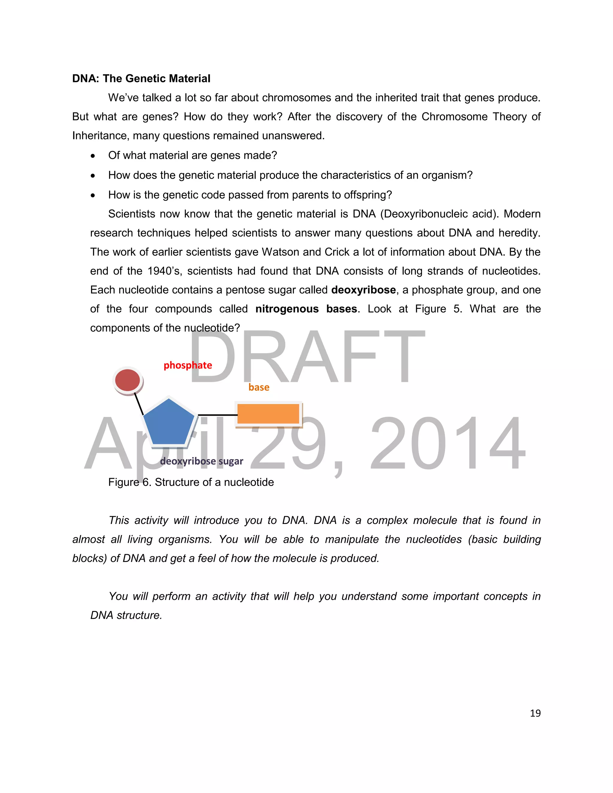 DRAFT
April 29, 2014
19
phosphate
base
deoxyribose sugar
DNA: The Genetic Material
We’ve talked a lot so far about chromosomes and the inherited trait that genes produce.
But what are genes? How do they work? After the discovery of the Chromosome Theory of
Inheritance, many questions remained unanswered.
 Of what material are genes made?
 How does the genetic material produce the characteristics of an organism?
 How is the genetic code passed from parents to offspring?
Scientists now know that the genetic material is DNA (Deoxyribonucleic acid). Modern
research techniques helped scientists to answer many questions about DNA and heredity.
The work of earlier scientists gave Watson and Crick a lot of information about DNA. By the
end of the 1940’s, scientists had found that DNA consists of long strands of nucleotides.
Each nucleotide contains a pentose sugar called deoxyribose, a phosphate group, and one
of the four compounds called nitrogenous bases. Look at Figure 5. What are the
components of the nucleotide?
Figure 6. Structure of a nucleotide
This activity will introduce you to DNA. DNA is a complex molecule that is found in
almost all living organisms. You will be able to manipulate the nucleotides (basic building
blocks) of DNA and get a feel of how the molecule is produced.
You will perform an activity that will help you understand some important concepts in
DNA structure.
 