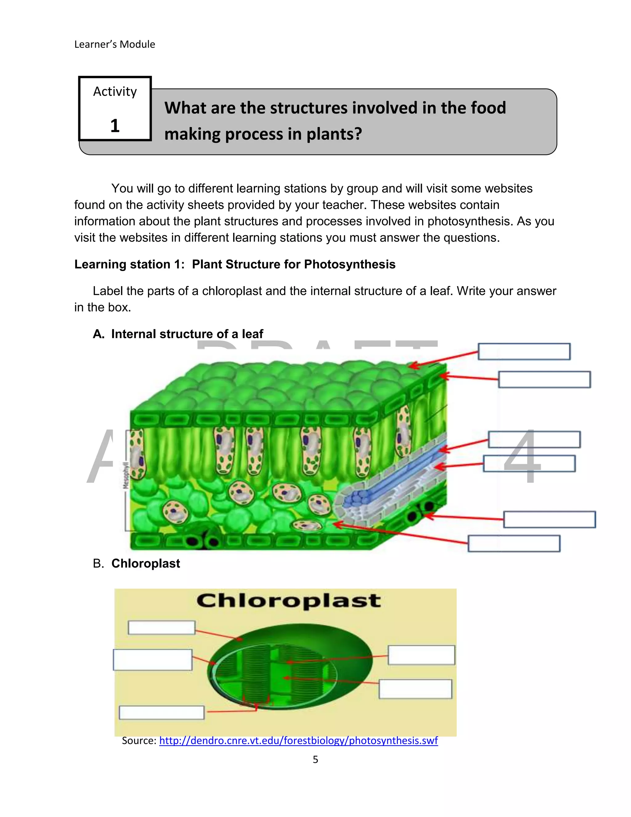 DRAFT
April 29, 2014
Learner’s Module
5
What are the structures involved in the food
making process in plants?
Activity
1
You will go to different learning stations by group and will visit some websites
found on the activity sheets provided by your teacher. These websites contain
information about the plant structures and processes involved in photosynthesis. As you
visit the websites in different learning stations you must answer the questions.
Learning station 1: Plant Structure for Photosynthesis
Label the parts of a chloroplast and the internal structure of a leaf. Write your answer
in the box.
A. Internal structure of a leaf
B. Chloroplast
Source: http://dendro.cnre.vt.edu/forestbiology/photosynthesis.swf
 
