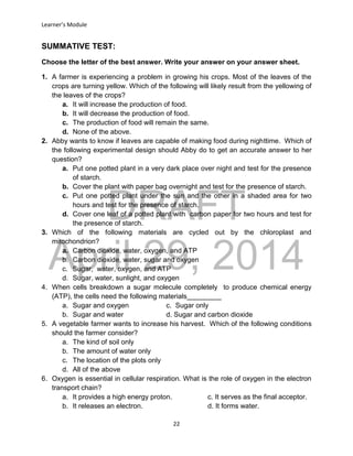 DRAFT
April 29, 2014
Learner’s Module
22
SUMMATIVE TEST:
Choose the letter of the best answer. Write your answer on your answer sheet.
1. A farmer is experiencing a problem in growing his crops. Most of the leaves of the
crops are turning yellow. Which of the following will likely result from the yellowing of
the leaves of the crops?
a. It will increase the production of food.
b. It will decrease the production of food.
c. The production of food will remain the same.
d. None of the above.
2. Abby wants to know if leaves are capable of making food during nighttime. Which of
the following experimental design should Abby do to get an accurate answer to her
question?
a. Put one potted plant in a very dark place over night and test for the presence
of starch.
b. Cover the plant with paper bag overnight and test for the presence of starch.
c. Put one potted plant under the sun and the other in a shaded area for two
hours and test for the presence of starch.
d. Cover one leaf of a potted plant with carbon paper for two hours and test for
the presence of starch.
3. Which of the following materials are cycled out by the chloroplast and
mitochondrion?
a. Carbon dioxide, water, oxygen, and ATP
b. Carbon dioxide, water, sugar and oxygen
c. Sugar, water, oxygen, and ATP
d. Sugar, water, sunlight, and oxygen
4. When cells breakdown a sugar molecule completely to produce chemical energy
(ATP), the cells need the following materials_________
a. Sugar and oxygen c. Sugar only
b. Sugar and water d. Sugar and carbon dioxide
5. A vegetable farmer wants to increase his harvest. Which of the following conditions
should the farmer consider?
a. The kind of soil only
b. The amount of water only
c. The location of the plots only
d. All of the above
6. Oxygen is essential in cellular respiration. What is the role of oxygen in the electron
transport chain?
a. It provides a high energy proton. c. It serves as the final acceptor.
b. It releases an electron. d. It forms water.
 