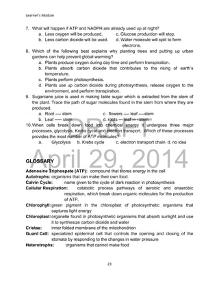 DRAFT
April 29, 2014
Learner’s Module
23
7. What will happen if ATP and NADPH are already used up at night?
a. Less oxygen will be produced. c. Glucose production will stop.
b. Less carbon dioxide will be used. d. Water molecule will split to form
electrons.
8. Which of the following best explains why planting trees and putting up urban
gardens can help prevent global warming?
a. Plants produce oxygen during day time and perform transpiration.
b. Plants absorb carbon dioxide that contributes to the rising of earth’s
temperature.
c. Plants perform photosynthesis.
d. Plants use up carbon dioxide during photosynthesis, release oxygen to the
environment, and perform transpiration.
9. Sugarcane juice is used in making table sugar which is extracted from the stem of
the plant. Trace the path of sugar molecules found in the stem from where they are
produced.
a. Root ---- stem c. flowers ---- leaf ----stem
b. Leaf ----- stem d. roots --- leaf ---- stem
10.When cells break down food into chemical energy it undergoes three major
processes, glycolysis, Krebs cycle and electron transport. Which of these processes
provides the most number of ATP molecules?
a. Glycolysis b. Krebs cycle c. electron transport chain d. no idea
GLOSSARY
Adenosine Triphospate (ATP): compound that stores energy in the cell
Autotrophs: organisms that can make their own food.
Calvin Cycle: name given to the cycle of dark reaction in photosynthesis
Cellular Respiration: catabolic process pathways of aerobic and anaerobic
respiration, which break down organic molecules for the production
of ATP.
Chlorophyll:green pigment in the chloroplast of photosynthetic organisms that
captures light energy
Chloroplast:organelle found in photosynthetic organisms that absorb sunlight and use
it to synthesize carbon dioxide and water
Cristae: inner folded membrane of the mitochondrion
Guard Cell: specialized epidermal cell that controls the opening and closing of the
stomata by responding to the changes in water pressure
Heterotrophs: organisms that cannot make food
 