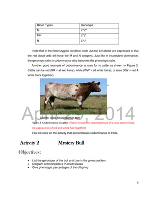 DRAFT
April 29, 2014
6
Blood Types Genotype
M LM
LM
MN LM
LN
N LN
LN
Note that in the heterozygote condition, both LM and LN alleles are expressed in that
the red blood cells will have the M and N antigens. Just like in incomplete dominance,
the genotypic ratio in codominance also becomes the phenotypic ratio.
Another good example of codominance is roan fur in cattle as shown in Figure 2.
Cattle can be red (RR = all red hairs), white (WW = all white hairs), or roan (RW = red &
white hairs together).
Source: www.biologycorner.com
Figure 2 Codominance in cattle (Please include the colored picture of a roan cow to show
the appearance of red and white hair together)
You will work on the activity that demonstrates codominance of traits.
Activity 2 Mystery Bull
Objectives:
 List the genotypes of the bull and cow in the given problem
 Diagram and complete a Punnett square
 Give phenotypic percentages of the offspring
 