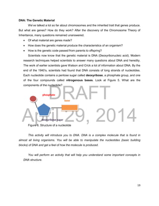 DRAFT
April 29, 2014
19
phosphate
base
deoxyribose sugar
DNA: The Genetic Material
We’ve talked a lot so far about chromosomes and the inherited trait that genes produce.
But what are genes? How do they work? After the discovery of the Chromosome Theory of
Inheritance, many questions remained unanswered.
 Of what material are genes made?
 How does the genetic material produce the characteristics of an organism?
 How is the genetic code passed from parents to offspring?
Scientists now know that the genetic material is DNA (Deoxyribonucleic acid). Modern
research techniques helped scientists to answer many questions about DNA and heredity.
The work of earlier scientists gave Watson and Crick a lot of information about DNA. By the
end of the 1940’s, scientists had found that DNA consists of long strands of nucleotides.
Each nucleotide contains a pentose sugar called deoxyribose, a phosphate group, and one
of the four compounds called nitrogenous bases. Look at Figure 5. What are the
components of the nucleotide?
Figure 6. Structure of a nucleotide
This activity will introduce you to DNA. DNA is a complex molecule that is found in
almost all living organisms. You will be able to manipulate the nucleotides (basic building
blocks) of DNA and get a feel of how the molecule is produced.
You will perform an activity that will help you understand some important concepts in
DNA structure.
 