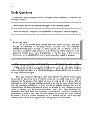 DRAFT
April 29, 2014
6
Guide Questions:
Q1. What does each part of the “Bunch of Grapes” model represent, in relation to the
breathing system?
______________________________________________________________________
Q2. How will you describe the pathway of oxygen in the breathing system?
______________________________________________________________________
Q3. What will happen if one part of the system fails to carry out its function properly?
______________________________________________________________________
Previously, you have already learned about the essential parts of the breathing
system and their functions. Now, you will understand the mechanism and activities of
the lungs and the diaphragm.
Have you experienced being in a jam-packed train? You almost certainly could
not wait to get out where there are fewer people so you could freely move. This is
analogous to the process that makes air move in and out of your lungs. The air
molecules are either crowded outside and tend to get into the lungs where there are
fewer air molecules (inhalation), or they tend to get outside because they are too
crowded inside the lungs (exhalation). When you breathe in, your diaphragm muscle
contracts downward and rib muscles pull upward causing air to fill up the lungs. Can
you explain why? Well, when your diaphragm goes lower and ribs shift up, they provide
more breathing space in your chest. This also reduces the force on your lungs so the air
will move in from the outside. Breathing out is a reverse process. Your diaphragm
loosens up and the ribs and lungs thrust in, causing the gas to be exhaled.
KEY CONCEPTS
The air we breathe goes through the nose, nasal passages, and then
through the trachea or windpipe, which separates into two branches,
called bronchial tubes or bronchi, one entering each lung. The bronchi subdivide
many times inside the lungs, analogous to the branching pattern of grapes, finally
becoming hairlike tubes called bronchioles. In the last part of the terminal
bronchioles are tiny bubble-like bunch of structures called alveoli or airsacs.
 