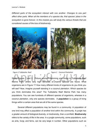 DRAFT
April 29, 2014
Learner’s Module
5
Different parts of the ecosystem interact with one another. Changes to one part
affect other parts. When all the members of a species die, that species’ place in the
ecosystem is gone forever. In this module you will study the various threats that are
considered causes of the loss of biodiversity.
Study Figures 1 and 2. Picture yourself swimming and diving in Tubbataha Reef
Marine Park, where very high densities of marine species are found. What
organisms are in Figure 1? How many different kinds of organisms do you think you
will see? Now, imagine yourself standing in a coconut plantation. Which species do
you think dominates this area? The Tubbataha Reef Marine Park has many
populations. You can see hundreds of different species of organisms, whereas in a
coconut plantation, only one species dominates. A population is a group of living
things within a certain area that are all of the same species.
Several different populations may be found in a community. A population of
one kind may affect a population of another kind within the community. A jungle has
a greater amount of biological diversity, or biodiversity, than a cornfield. Biodiversity
refers to the variety of life in the area. In a jungle community, some populations, such
as ants, fungi, and ferns, can be very large in number. Other populations such as
Figure 1 Tubbataha Reef Figure 2 Coconut Plantation
 