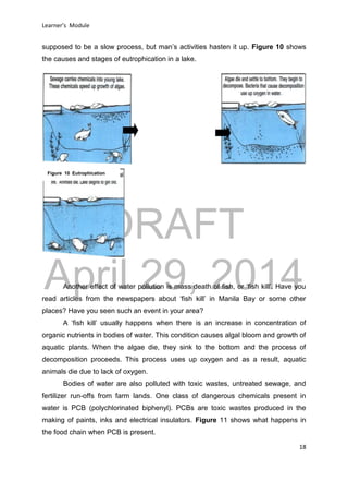 DRAFT
April 29, 2014
Learner’s Module
18
supposed to be a slow process, but man’s activities hasten it up. Figure 10 shows
the causes and stages of eutrophication in a lake.
Another effect of water pollution is mass death of fish, or ‘fish kill’. Have you
read articles from the newspapers about ‘fish kill’ in Manila Bay or some other
places? Have you seen such an event in your area?
A ‘fish kill’ usually happens when there is an increase in concentration of
organic nutrients in bodies of water. This condition causes algal bloom and growth of
aquatic plants. When the algae die, they sink to the bottom and the process of
decomposition proceeds. This process uses up oxygen and as a result, aquatic
animals die due to lack of oxygen.
Bodies of water are also polluted with toxic wastes, untreated sewage, and
fertilizer run-offs from farm lands. One class of dangerous chemicals present in
water is PCB (polychlorinated biphenyl). PCBs are toxic wastes produced in the
making of paints, inks and electrical insulators. Figure 11 shows what happens in
the food chain when PCB is present.
Figure 10 Eutrophication
 