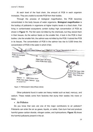 DRAFT
April 29, 2014
Learner’s Module
19
At each level of the food chain, the amount of PCB in each organism
increases. They are unable to excrete PCB from their bodies.
Through the process of biological magnification, the PCB becomes
concentrated in the body tissues of water organisms. Biological magnification is
the buildup of pollutants in organisms at higher trophic levels in a food chain. Fish
living in contaminated ecosystems contain builtup high concentration of PCB as
shown in Figure 11. The fish were not killed by the chemicals, but they stored them
in their tissues. As the salmon feeds on the smaller fish, it took in the PCB in their
bodies. Like the smaller fish, the salmon was not killed by the PCB. It stored the PCB
in its tissues. The concentration of PCB in the salmon has rise to 5,000 times the
concentration of PCB in the water in which it fed.
Other pollutants found in water are heavy metals such as lead, mercury, and
cadium. These metals come from factories that dump their wastes into rivers or
lakes.
 Air Pollution
Do you know that cars are one of the major contributors to air pollution?
Pollutants can enter the air as gases, liquids, or solids. Cars burn fuel and produce
harmful gases–carbon dioxide, nitrogen oxides, and hydrocarbons. Figure 12 shows
the harmful pollutants present in the air.
Figure 11 PCB dumped in lakes (Please redraw)
has
feeds
 