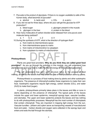 DRAFT
April 29, 2014
Learner’s Module
3
7. Pyruvate is the product of glycolysis. If there is no oxygen available to cells of the
human body, what becomes of pyruvate?
a. alcohol b. lactic acid c. CO2 d. a and c
8. If you did not eat for three days, where did your cell get the glucose for ATP
production?
a. blood sugar c. glycogen present in the muscle
b. glycogen in the liver d. protein in the blood
9. How many molecule/s of carbon dioxide is/are released from one pyruvic acid
molecule being oxidized?
a. 1 b. 3 c. 2 d. 4
10.During the synthesis of ATP, what is the direction of hydrogen flow?
a. from matrix to intermembrane space
b. from intermembrane space to matrix
c. from matrix of mitochondrion to cytoplasm
d. from cytoplasm to matrix of mitochondrion
Photosynthesis
Plants are great food providers. Why do you think they are called great food
providers? As you go through the activities in this module, you will understand how
plants provide food and help to make the flow of energy in the ecosystem possible.
You will understand how each plant structure helps in the process of food
making, as well as the factors that may affect the rate of food production done by plants.
Photosynthesis is a process of food making done by plants and other autotrophic
organisms. The presence of chlorophyll enables these organisms to make their own
food. Autotrophic organisms require light energy, carbon dioxide (CO2), and water
(H2O) to make food (sugar).
In plants, photosynthesis primarily takes place in the leaves and little or none in
stems depending on the presence of chlorophyll. The typical parts of the leaves
include the upper and lower epidermis, mesophyll spongy layer, vascular bundles,
and stomates. The upper and lower epidermis protects the leaves and has nothing
to do with photosynthetic processes. Mesophyll has the most number of chloroplasts
that contain chlorophyll. They are important in trapping light energy from the sun.
Vascular bundles - phloem and xylem serve as transporting vessels of manufactured
food and water. Carbon dioxide and oxygen were collected in the spongy layer and
enters and exits the leaf through the stomata.
 