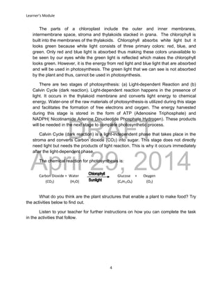 DRAFT
April 29, 2014
Learner’s Module
4
The parts of a chloroplast include the outer and inner membranes,
intermembrane space, stroma and thylakoids stacked in grana. The chlorophyll is
built into the membranes of the thylakoids. Chlorophyll absorbs white light but it
looks green because white light consists of three primary colors: red, blue, and
green. Only red and blue light is absorbed thus making these colors unavailable to
be seen by our eyes while the green light is reflected which makes the chlorophyll
looks green. However, it is the energy from red light and blue light that are absorbed
and will be used in photosynthesis. The green light that we can see is not absorbed
by the plant and thus, cannot be used in photosynthesis.
There are two stages of photosynthesis: (a) Light-dependent Reaction and (b)
Calvin Cycle (dark reaction). Light-dependent reaction happens in the presence of
light. It occurs in the thylakoid membrane and converts light energy to chemical
energy. Water-one of the raw materials of photosynthesis-is utilized during this stage
and facilitates the formation of free electrons and oxygen. The energy harvested
during this stage is stored in the form of ATP (Adenosine Triphosphate) and
NADPH( Nicotinamide Adenine Dinucleotide Phosphate Hydrogen). These products
will be needed in the next stage to complete photosynthetic process.
Calvin Cycle (dark reaction) is a light-independent phase that takes place in the
stroma and converts Carbon dioxide (CO2) into sugar. This stage does not directly
need light but needs the products of light reaction. This is why it occurs immediately
after the light-dependent phase.
The chemical reaction for photosynthesis is:
Carbon Dioxide + Water Glucose + Oxygen
(CO2) (H2O) (C6H12O6) (O2)
What do you think are the plant structures that enable a plant to make food? Try
the activities below to find out.
Listen to your teacher for further instructions on how you can complete the task
in the activities that follow.
 