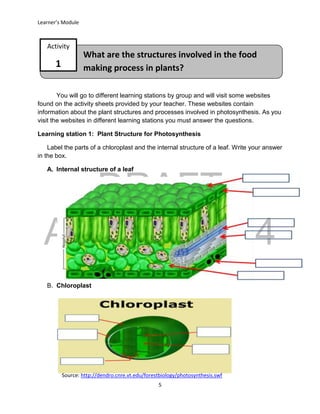 DRAFT
April 29, 2014
Learner’s Module
5
What are the structures involved in the food
making process in plants?
Activity
1
You will go to different learning stations by group and will visit some websites
found on the activity sheets provided by your teacher. These websites contain
information about the plant structures and processes involved in photosynthesis. As you
visit the websites in different learning stations you must answer the questions.
Learning station 1: Plant Structure for Photosynthesis
Label the parts of a chloroplast and the internal structure of a leaf. Write your answer
in the box.
A. Internal structure of a leaf
B. Chloroplast
Source: http://dendro.cnre.vt.edu/forestbiology/photosynthesis.swf
 