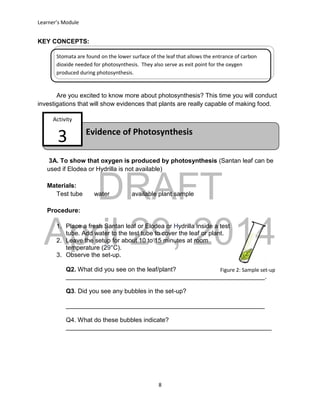 DRAFT
April 29, 2014
Learner’s Module
8
Evidence of Photosynthesis
Activity
3
KEY CONCEPTS:
Are you excited to know more about photosynthesis? This time you will conduct
investigations that will show evidences that plants are really capable of making food.
3A. To show that oxygen is produced by photosynthesis (Santan leaf can be
used if Elodea or Hydrilla is not available)
Materials:
Test tube water available plant sample
Procedure:
1. Place a fresh Santan leaf or Elodea or Hydrilla inside a test
tube. Add water to the test tube to cover the leaf or plant.
2. Leave the setup for about 10 to 15 minutes at room
temperature (29°C).
3. Observe the set-up.
Q2. What did you see on the leaf/plant?
_________________________________________________________.
Q3. Did you see any bubbles in the set-up?
_________________________________________________________
Q4. What do these bubbles indicate?
___________________________________________________________
Stomata are found on the lower surface of the leaf that allows the entrance of carbon
dioxide needed for photosynthesis. They also serve as exit point for the oxygen
produced during photosynthesis.
Figure 2: Sample set-up
 