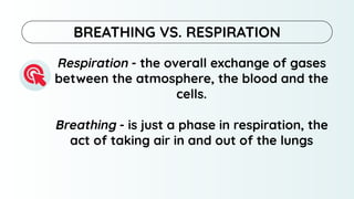 Respiration - the overall exchange of gases
between the atmosphere, the blood and the
cells.
Breathing - is just a phase in respiration, the
act of taking air in and out of the lungs
BREATHING VS. RESPIRATION
 
