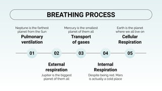 Pulmonary
ventilation
Neptune is the farthest
planet from the Sun
Transport
of gases
Mercury is the smallest
planet of them all
Cellular
Respiration
Earth is the planet
where we all live on
External
respiration
Jupiter is the biggest
planet of them all
Internal
Respiration
Despite being red, Mars
is actually a cold place
01 02 03 04 05
BREATHING PROCESS
 