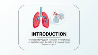 The respiratory system facilitates the exchange
of gases between the cells of an organism and
its environment.
INTRODUCTION
 