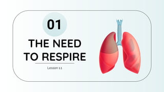 THE NEED
TO RESPIRE
Lesson 1.1
01
 