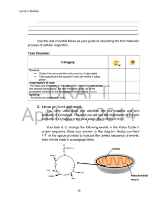 DRAFT
April 29, 2014
Learner’s Module
18
___________________________________________________________
________________________________________________________________
________________________________________________________________
________________________________________________________________.
Use the task checklist below as your guide in describing the first metabolic
process of cellular respiration.
Task Checklist
Category
Content:
 States the raw materials and products of glycolysis
 Tells specifically the location in the cell where it takes
place.
Organization of data:
The ideas are presented in the right order, beginning with where
the process takes place, the raw materials used, up to the
processes involved in the formation of end products.
Spelling:
All words are spelled correctly .
C. Let us go round and round..
You have understood and identified the raw material and end
products of Glycolysis. This time you will see the importance of the end
products of Glycolysis in the next stage, the KREBS CYCLE.
Your task is to arrange the following events in the Krebs Cycle in
proper sequence. Base your answer on the diagram. Assign numbers
1-7 in the space provided to indicate the correct sequence of events;
then rewrite them in a paragraph form.
cristae
Mitochondrial
matrix
 