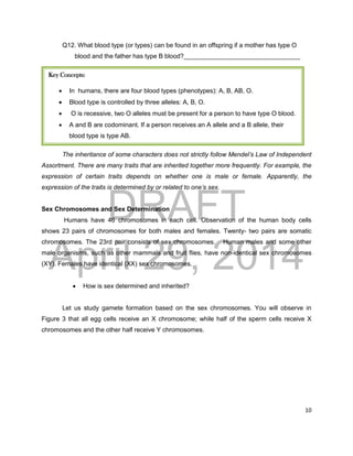 DRAFT
April 29, 2014
10
Q12. What blood type (or types) can be found in an offspring if a mother has type O
blood and the father has type B blood?_________________________________
The inheritance of some characters does not strictly follow Mendel’s Law of Independent
Assortment. There are many traits that are inherited together more frequently. For example, the
expression of certain traits depends on whether one is male or female. Apparently, the
expression of the traits is determined by or related to one’s sex.
Sex Chromosomes and Sex Determination
Humans have 46 chromosomes in each cell. Observation of the human body cells
shows 23 pairs of chromosomes for both males and females. Twenty- two pairs are somatic
chromosomes. The 23rd pair consists of sex chromosomes. Human males and some other
male organisms, such as other mammals and fruit flies, have non-identical sex chromosomes
(XY). Females have identical (XX) sex chromosomes.
 How is sex determined and inherited?
Let us study gamete formation based on the sex chromosomes. You will observe in
Figure 3 that all egg cells receive an X chromosome; while half of the sperm cells receive X
chromosomes and the other half receive Y chromosomes.
Key Concepts:
 In humans, there are four blood types (phenotypes): A, B, AB, O.
 Blood type is controlled by three alleles: A, B, O.
 O is recessive, two O alleles must be present for a person to have type O blood.
 A and B are codominant. If a person receives an A allele and a B allele, their
blood type is type AB.
 